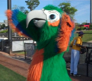 Krackerz on field